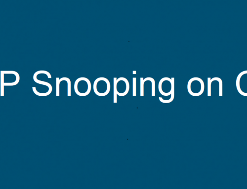 DHCP Snooping დაცვის მექანიზმი Cisco-ს სვიჩზე